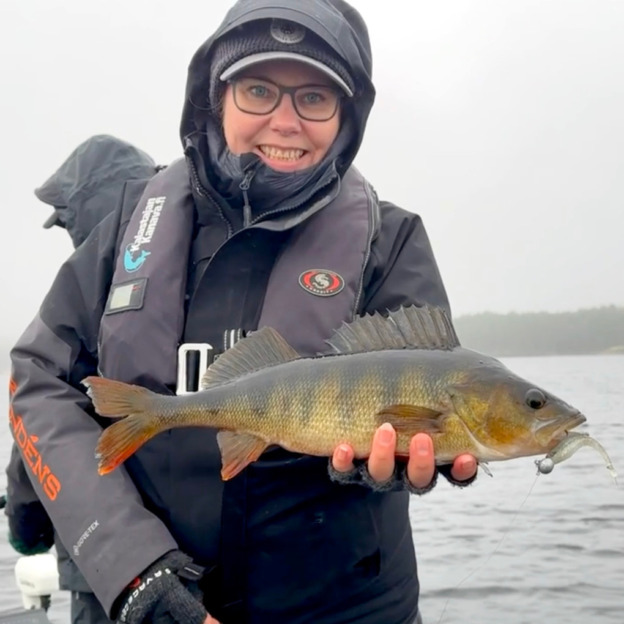 Kalastaja järvellä, ahven on tarttunut pyydykseen, toimiva jigi.
